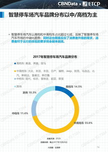 2017中國智慧停車行業大數據報告 數字技術驅動下的格局重塑與未來展望